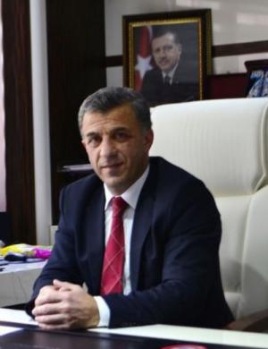 Hanefi TOK